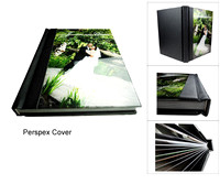 Perspex Cover